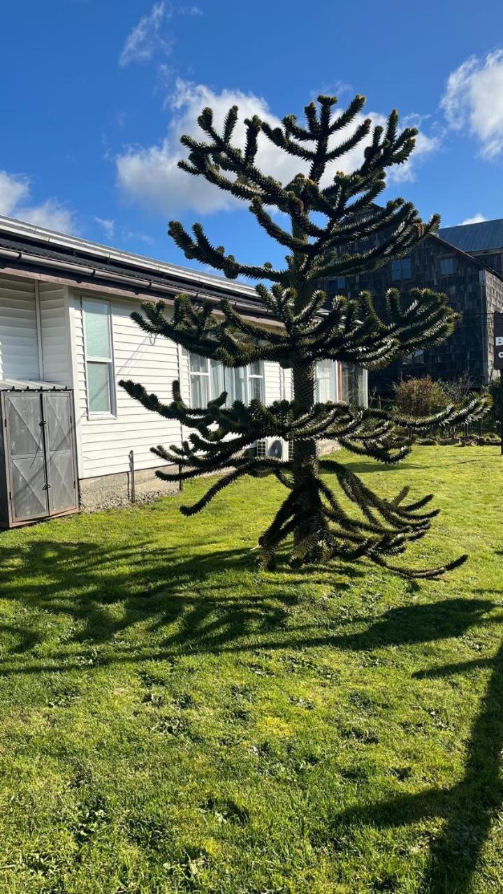 Cabanas Bosque Sur Puerto Varas Buitenkant foto